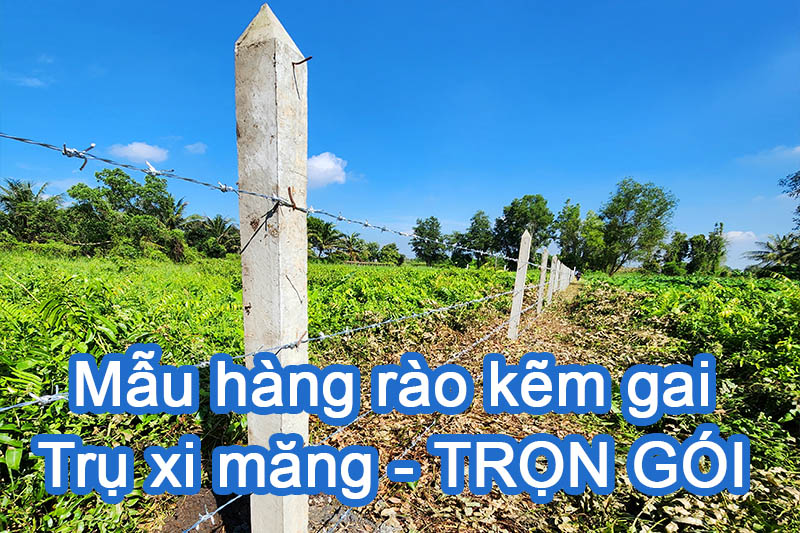 Mẫu hàng rào kẽm gai trụ 2m, chân đổ cát đá xi măng, trụ cách trụ 3m